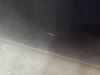 Gebruikte Deur 2Deurs links Volvo C30 O171713