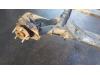Gebruikte Achteras voorwielaandrijving Ford Transit Connect O172376