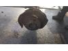 Gebruikte Achteras achterwielaandrijving Mercedes Sprinter O172380