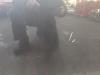 Gebruikte Portier 4Deurs links-voor Citroen C3 Picasso O173146