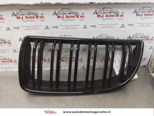 O174827 Gebruikte grille BMW 3-Serie
