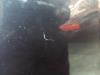 Gebruikte Motorkap Volkswagen Golf O174941