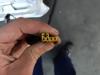 Gebruikte Achterklep Volkswagen Polo O176824