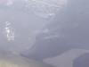 Gebruikte Deur 4Deurs links-achter Ford Focus O177423