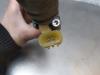 Gebruikte Motor portierruit Hyundai I10 O177846
