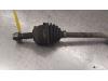 Gebruikte Cardanas links-voor (VWA) Ford KA O179432
