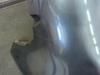 Gebruikte Bumper voor Renault Clio O179548