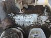 Gebruikte Tank element Pomp Kia Picanto O179917
