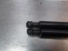 Gebruikte Gasdemperset Achterklep Opel Agila O181236