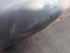 Gebruikte Bumper voor Toyota Yaris O181374