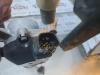 Gebruikte Ruitenwismotor+Mechaniek Honda Jazz O182014
