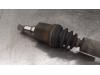 Gebruikte Cardanas links-voor (VWA) Ford Focus O182372