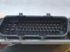 Gebruikte Computer Motormanagement Seat Ibiza O182463