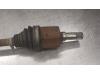 Gebruikte Steekas links-voor Ford Transit O182626