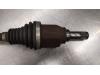 Gebruikte Aandrijfas links-voor Renault Kangoo O184445