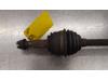 Gebruikte Aandrijfas links-voor Renault Kangoo O184445