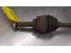 Gebruikte Homokineetas links-voor Nissan Pixo O184448