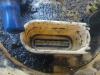 Gebruikte Tank element Pomp Volkswagen Polo O184891