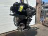 Gebruikte Motor Volkswagen Polo O185271