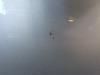 Gebruikte Motorkap Volkswagen Golf Plus O185876