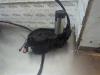 Gebruikte Schuifdeur motor links Peugeot 1007 O188023