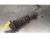 Gebruikte Schokdemperpoot links-voor Suzuki Alto O189156