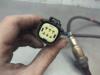 Gebruikte Lambda Sonde Ford Focus O189340