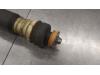 Gebruikte Schokdemper rechts-achter BMW 3-Serie O189406