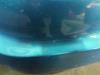 Gebruikte Bumper voor Citroen C3 O189801