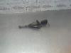 Gebruikte Cilinderslot Portier links Citroen C4 O190402