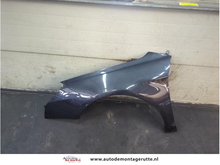 Gebruikte Spatbord links-voor Citroen C5 O190888