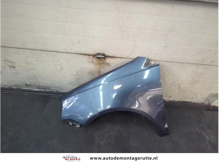 Gebruikte Voorscherm links Volkswagen Polo O190901