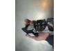 Gebruikte Sleutel+Contactslot Nissan Micra O192028