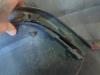Gebruikte Achterbumper Citroen C4 O194173