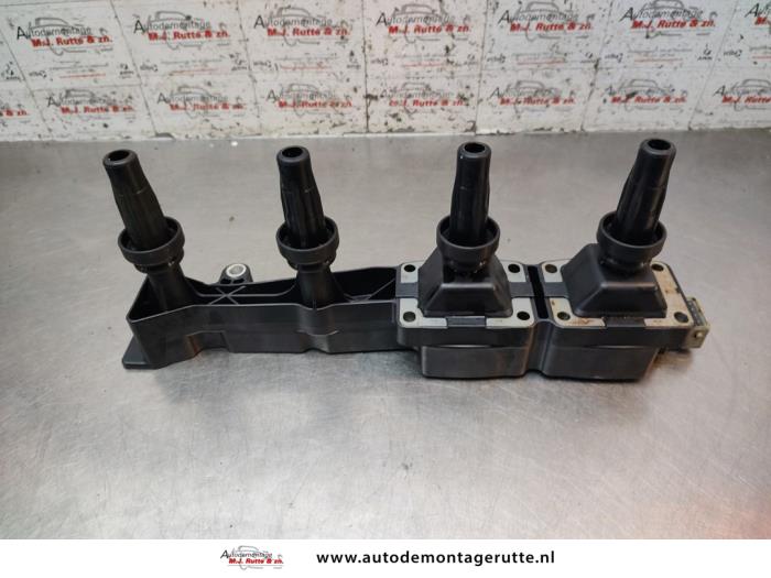 Gebruikte Bobine Peugeot 206 O195500