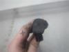Gebruikte Verstuiver (diesel) Seat Ibiza O196394