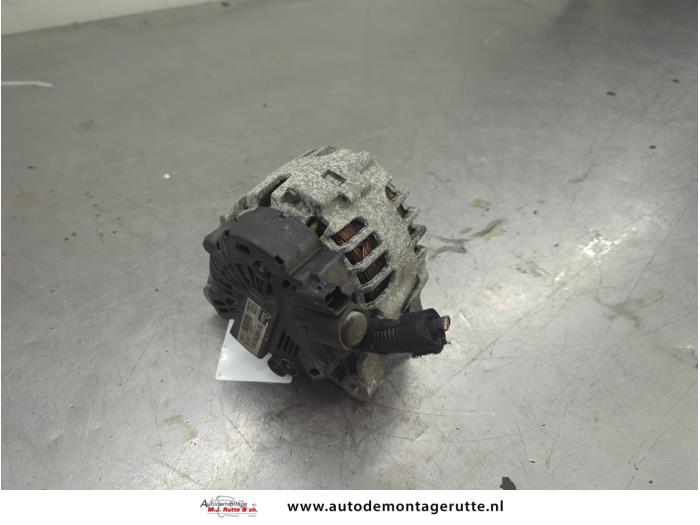 Gebruikte Alternator Peugeot 307 O202955