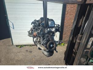 O203379 Gebruikte motor Citroen Berlingo