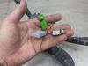 Gebruikte Combischakelaar Stuurkolom Citroen C5 O203400