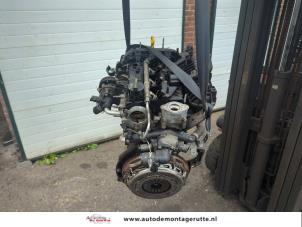 O203696 Gebruikte motor Ford Focus