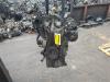 Gebruikte Motor Ford Focus O203696