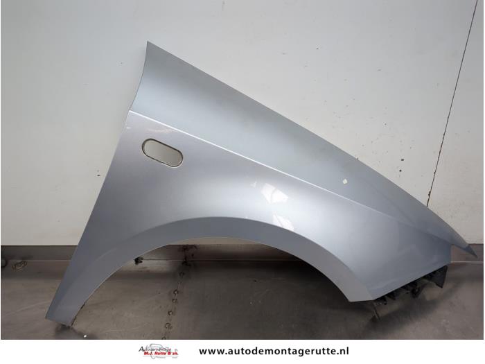 Gebruikte Scherm rechts-voor Seat Ibiza O203848