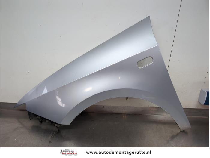 Gebruikte Scherm links-voor Seat Ibiza O203849