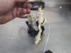 Gebruikte Brandstofpomp Mechanisch BMW 5-Serie O203989