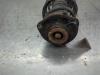 Gebruikte Mac Phersonpoot links-voor Volkswagen Eos O204103