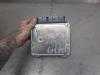 Gebruikte Computer Motormanagement Volkswagen Golf O204307