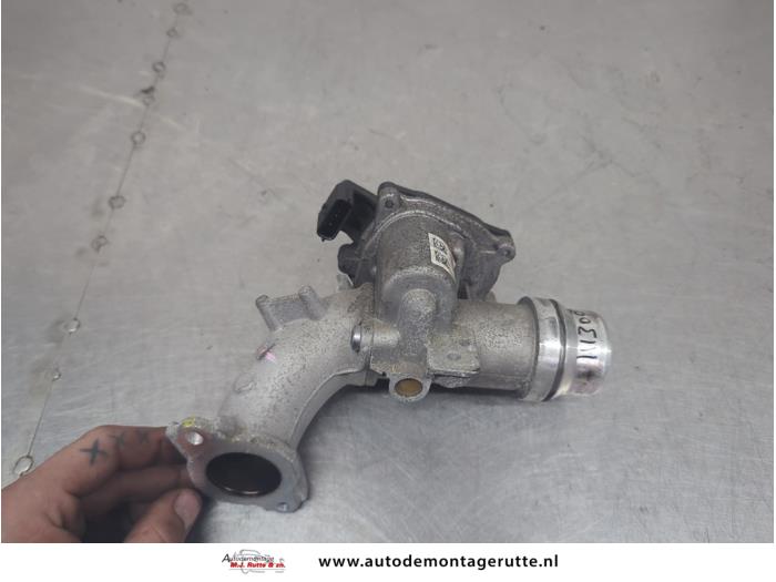 Gebruikte Gasklephuis Renault Megane O204904