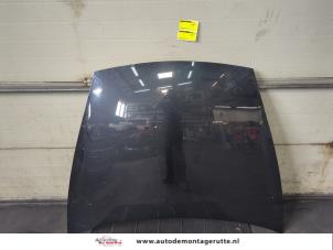 O205581 Gebruikte motorkap Porsche Cayenne