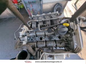 O205598 Gebruikte motor Volkswagen Golf
