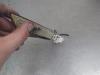 Gebruikte Remlicht Extra midden Ford Fiesta O205998
